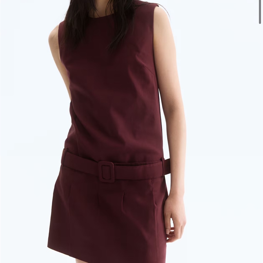 NWT H&M Burgundy Belted Shift Dress